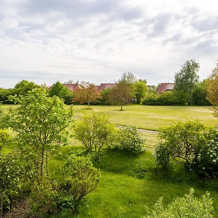 Rugana - Klassik 1-raum Mit Terrasse A51 *